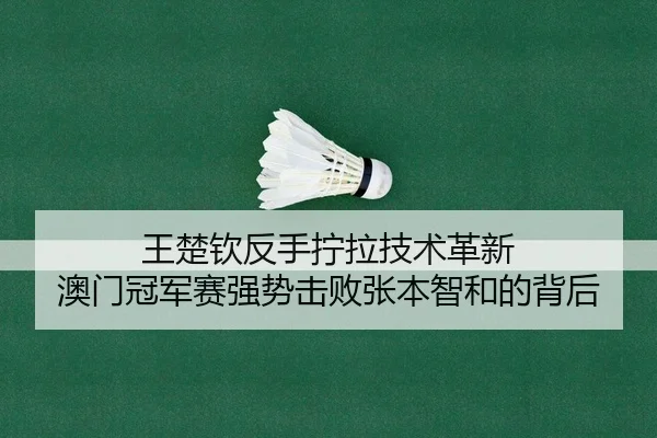 王楚钦反手拧拉技术革新 澳门冠军赛强势击败张本智和的背后